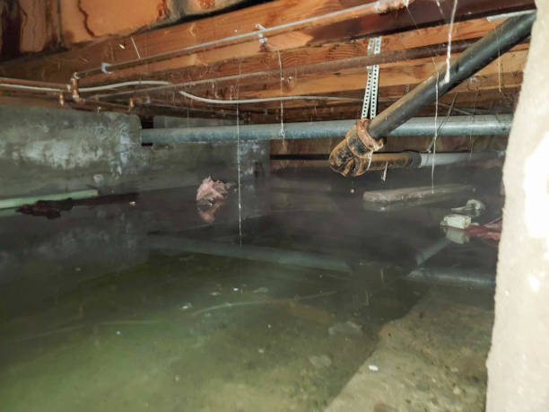 Best Flooded house restoration  in Lake Dunlap, TX