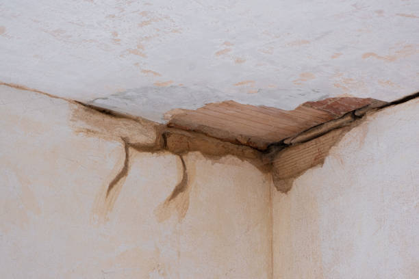Best Sewage cleanup and water damage restoration  in Lake Dunlap, TX
