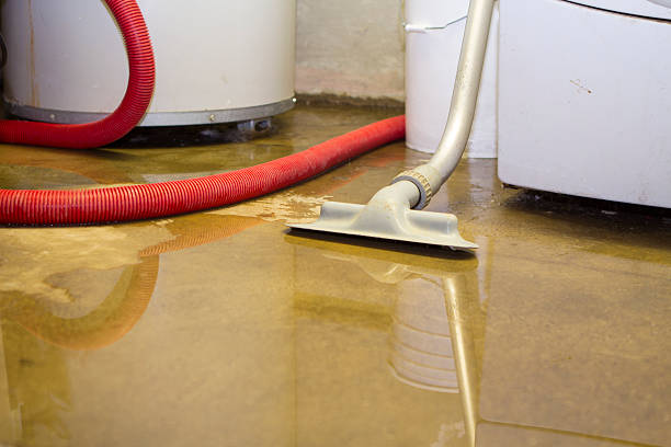 Best Water damage restoration specialists  in Lake Dunlap, TX