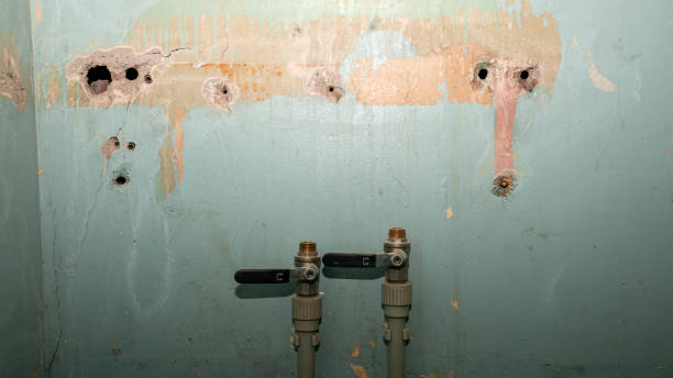 Best Water damage restoration insurance claims  in Lake Dunlap, TX