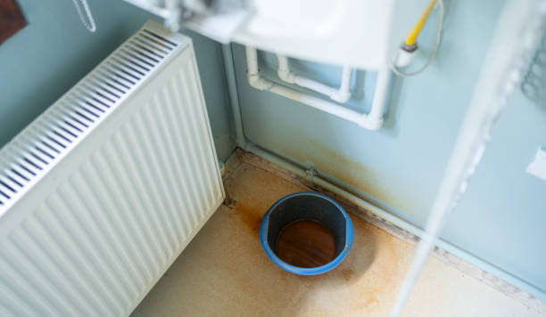 Best Carpet water damage restoration  in Lake Dunlap, TX