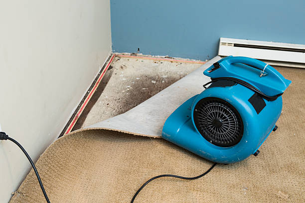 Best Water damage restoration near me  in Lake Dunlap, TX